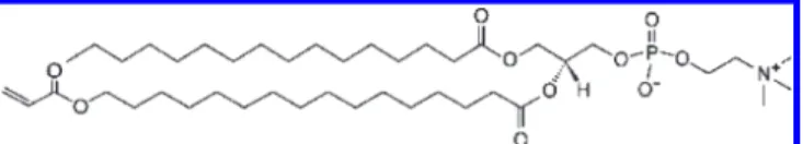 Figure 1. 1-Palmitoyl-2-[16-(acryloyloxy)hexadecanoyl]-Sn-Gly- 1-Palmitoyl-2-[16-(acryloyloxy)hexadecanoyl]-Sn-Gly-cero-3-phosphorylcholine.