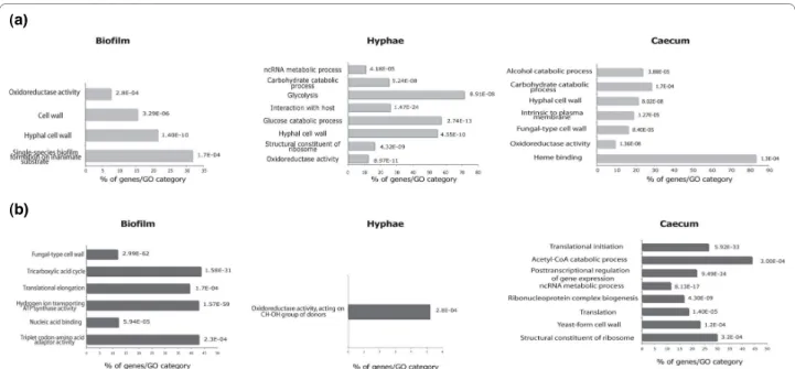 Figure 5 Functional gene categories differentially regulated in hyphae, biofilm and caecum-grown cells