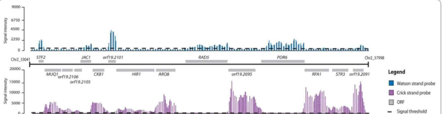 Figure 2f), were identified. Additionally, a large number of sense-AS transcript pairs have been detected (PFK1 and EFB1; Figure 2d, f)