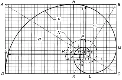 Fig. 5.  Fibonacci spiral F and the spiral N of Nautilus pompilius 