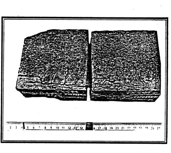 Figure  4.1  Cracking of  Refractory Bricks  in Slagging  Gasifier (Courtesy of  Norton  Company, Worcester,  Massachusetts)