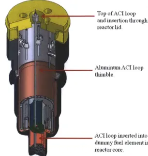 Figure  2.10:  ACI loop  "thimble"  inserted into  a  dummy element  at specified  irradiation  position  in the MITR-II  core.
