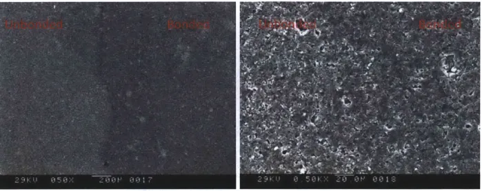 Figure  4.5:  SEM  (two  different  magnifications)  of the  borderline  between  the  bonded  and  un-bonded  areas  of the bonded face  of sample  "2a".