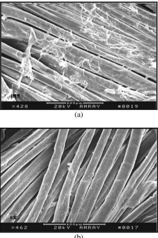 Figure 3. (a) Tensile modulus and (b) tensile  strength of the epoxy nanocomposites. 