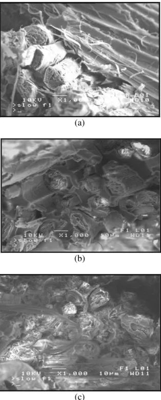 Figure 8: Burning characteristic of the compo- compo-sites 