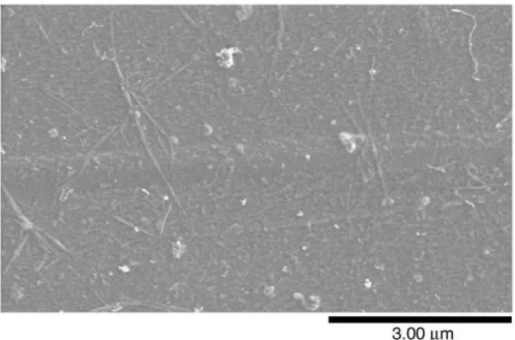 Fig. 2. A typical SEM picture of pure SWCNT thin ﬁlm deposited on PET surface by dip coating (sheet resistance: 136 Ω/□).