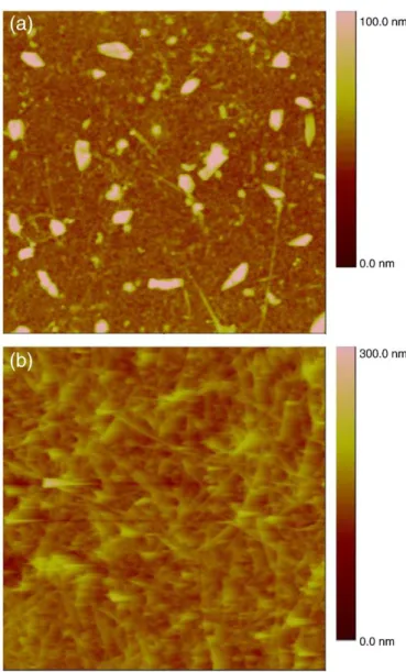 Fig. 4. Examples of AFM pictures for CNT thin ﬁlms. (a) Single-walled CNT/PEDOT composite thin ﬁlm deposited on glass slide by dip coating