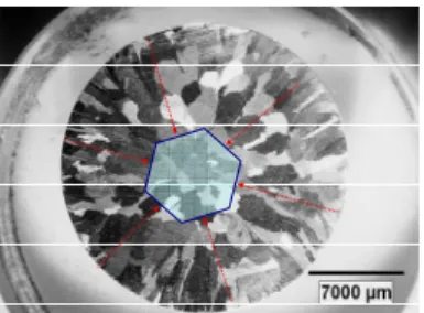 Fig. 2. Representation of grain growth from prismatic planes in  as-cast pure Mg. 
