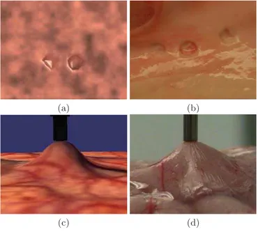 Fig. 5. Simulation results on tissue removal and grasping compared to the correspond- correspond-ing experiment photos