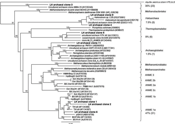Figure 3 Phylogenetic relationships of archaeal 16S rRNA gene sequences recovered from Lost Hammer