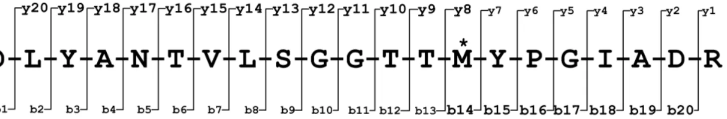 Figure 6: Post-translational modification (oxidation) on amino acid residue methionine (M) results in a shift of all fragment ions from y8 to y20 and b14 to b20 by 16 daltons; shown both theoretically (Fig.6(a)) and experimentally (Fig.6(b))