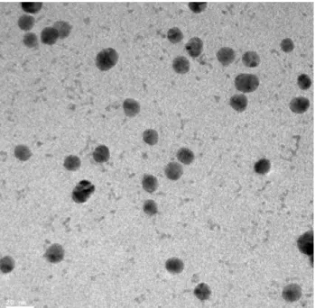 Figure 2. Bright field TEM image of TiO 2 -Au-Pt film annealed at 200°C. The scale bar is 20 nm