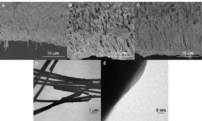 Fig. 1. (A–C) SEM image of the NAE 2 h , NAE 4 h and NAE 5 h ; (D) TEM image of gold nanowires after AAM removed, most nanowires have rough surfaces; (E) HRTEM image of a single Au nanowire, bump on nanowire has a single crystalline nature.