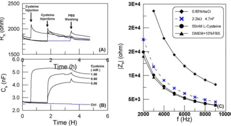 Fig. 3. Application of ECIS to detect l -cysteine SAM. (A) and (B) Resistance R s and capacitance C s change with time at 4 kHz after diluted l -cysteine (6␮L) was injected into 8W1E wells with 0.6 mL 0.85% NaCl saline