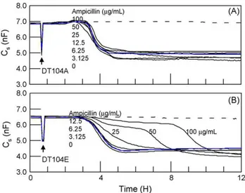 Fig. 6. Application of ECIS for monitoring the resistance of S. typhimurium DT104A and DT104E to ampicillin in 8W1E wells coated with l -cysteine SAM