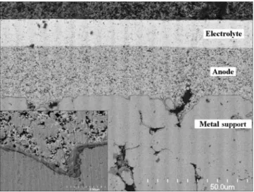 Figure 7. SEM micrograph of a cross section of a stainless steel supported ceria based cell tested at 600°C for 2700 h