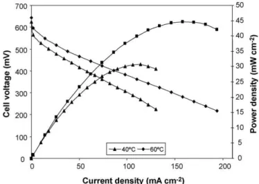 Fig. 11. DMFC performance of UHMWPE-g-PSSA (DG = 22%) compared to Nafion ® 117 at 40 ◦ C.