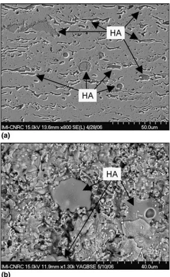 Fig. 1 Nanostructured zone on the HVOF-sprayed n-TiO 2