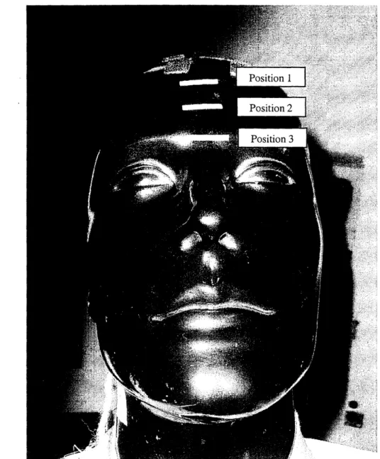 Figure 4: Picture  of mannequin  shows  the  reference  lines  on  the forehead  (in  white)  used in positioning  the  helmet  in order to  model  racing  positions  1, 2, and 3.