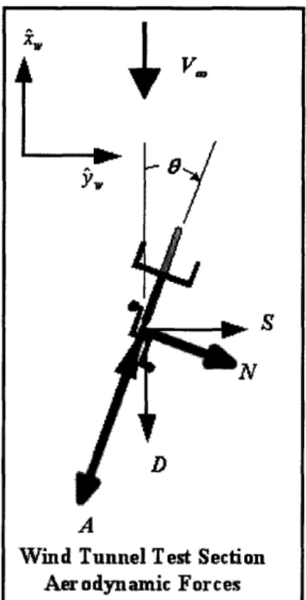 Figure 1:  Coordinate  system used in  wind tunnel and  aerodynamic  forces  acting  on a rider (Blair).