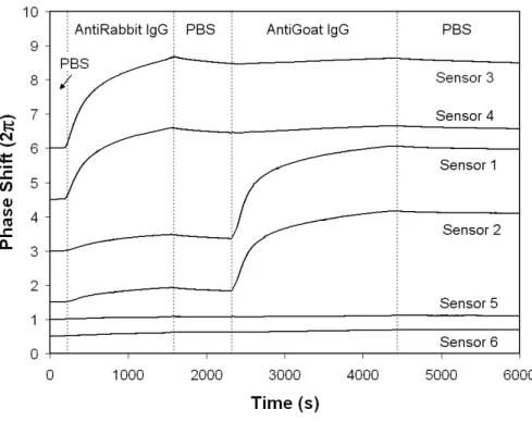 Fig. 2. Binding curves obtained using an  infrared camera  to simultaneously track  the phase change induced in the  Mach-Zehnder interferometer sensors