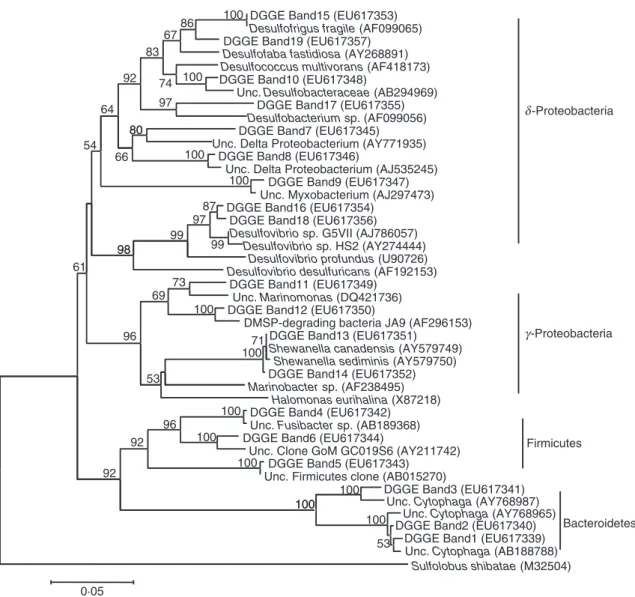 Figure 4 Phylogenetic tree of 16S rDNA sequences of DGGE bands obtained in this study and those related ones