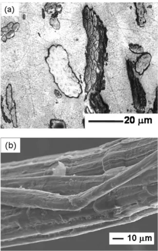 FIG. 1. (a) OM image of ﬁber cross-section; (b) SEM image demon- demon-strating splitting and misalignment of elementary ﬁbers in a single  tech-nical ﬁber.