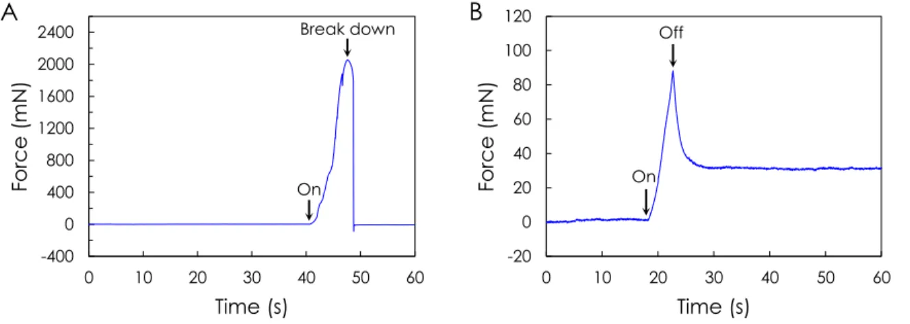Figure 3 – (A) Peak force generated by the nylon bending actuator at input voltage of 4V