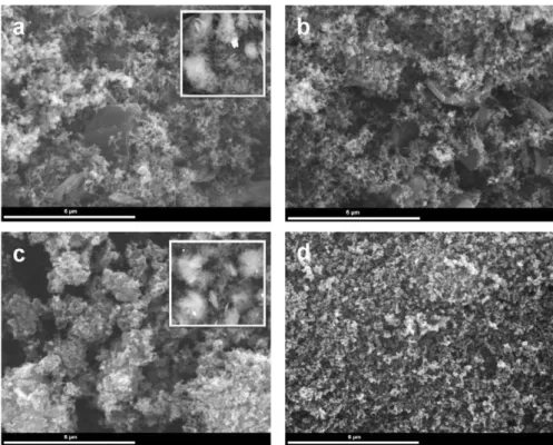 Fig. 3. SEM images of “composite I” made (a) using the conventional and (b) using the microwave-assisted method and “composite II” made (c) using the conventional and (d) using the microwave-assisted method