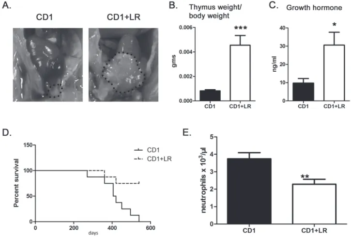 Figure 3: L.  reuteri effects on thymus gland mass, longevity and systemic inflammatory tone of mice