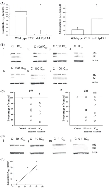 Fig 1. Dasatinib decreases p53 basal expression levels in primary CLL lymphocytes expressing wild type p53