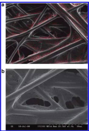 Figure 3. Scanning electron microscope image of a cross section of TORAY carbon paper (TPGH-120) with no Teflon treatment.