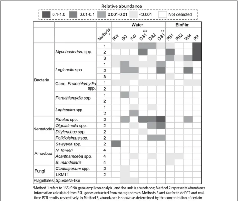 FIGURE 2 | Detected potential pathogens and eukaryotes (nematodes, amoebae, fungi, and flagellates) by 16S rRNA gene amplicon analysis (1), SSU genes extracted from metagenomes (2), ddPCR (3), and real-time PCR (4)