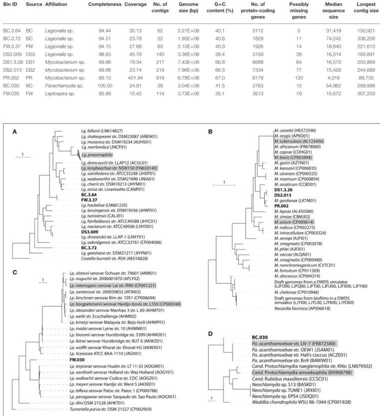FIGURE 3 | Phylogenomic tree of recovered draft genomes constructed based on up to 400 conserved protein sequences
