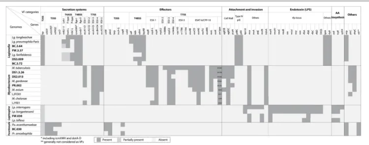 FIGURE 4 | VFs identified with the draft genomes recovered in this study and related genomes from public databases