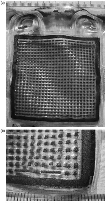 Fig. 2. Nafion ® 112 membrane with a perforated polyimide film after utilization as a barrier in a degradation test (a); partial enlarged view of the barrier (b).
