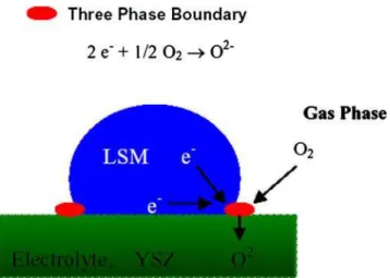Fig. 2 Sketches of the three reaction paths of the oxygen reduction and incorporation reaction and some possible rate-determining steps.