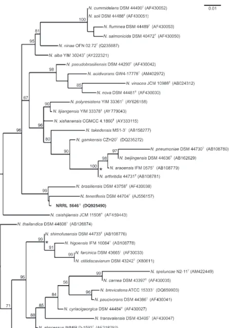 Fig. 1. Unrooted neighbour-joining tree (Saitou &amp; Nei, 1987), based on nearly  com-plete 16S rRNA gene sequences, showing the position of strain NRRL 5646 T among  repre-sentatives of closely related Nocardia species.