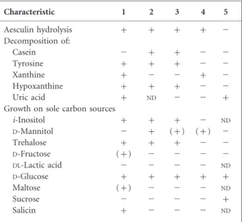 Table 2. Differential physiological characteristics of strain NRRL 5646 T and the type strains of Nocardia species grouped in the same cluster on the basis of 16S rRNA gene sequence analysis