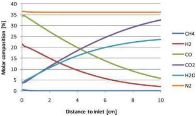 Figure 3. Distribution of molar gas composition of the gas species in the fuel channel