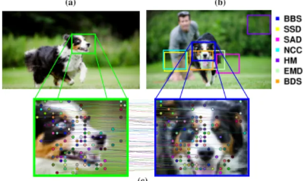 Figure 1. Best-Buddies Similarity (BBS) for Template Match- Match-ing: (a), The template, marked in green, contains an object of interest against a background