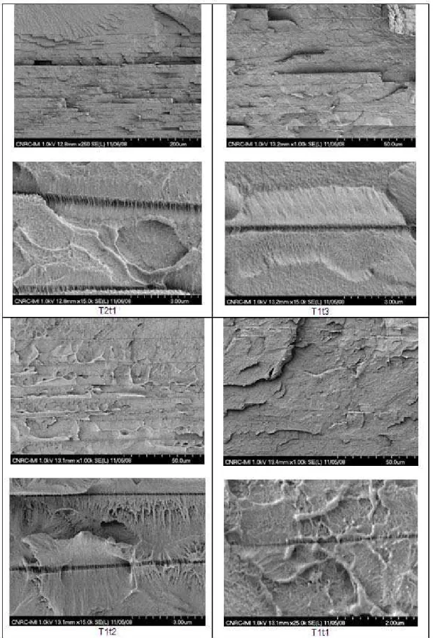 Figure 8. Morphology of four samples (cryogenic fracture through thickness) at two different magnifications, with emphasis on  (a) unfoamed layers and (b) nanoporous gaps