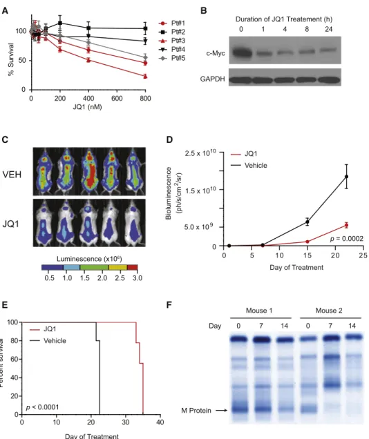 Figure 7. Translational Implications of BET Bromodomain Inhibition in MM