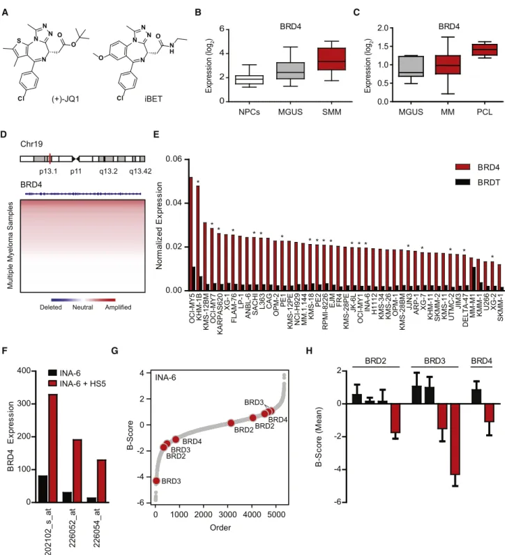 Figure 1. Integrated Genomic Rationale for BET Bromodomains as Therapeutic Targets in MM (A) Structures of the BET bromodomain inhibitors JQ1 and iBET.