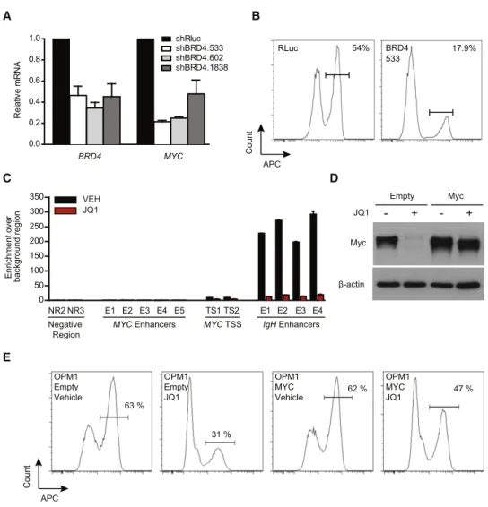 Figure 4. Regulation of MYC Transcription by BET Bromodomains