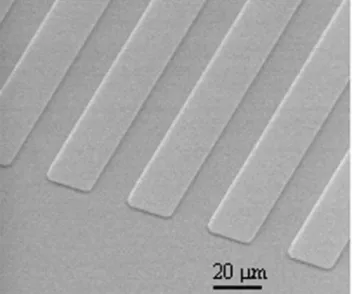 Fig. 4. SEM picture of etched lower SiO 2 cladding layer; the height of the patterns is 100 nm.