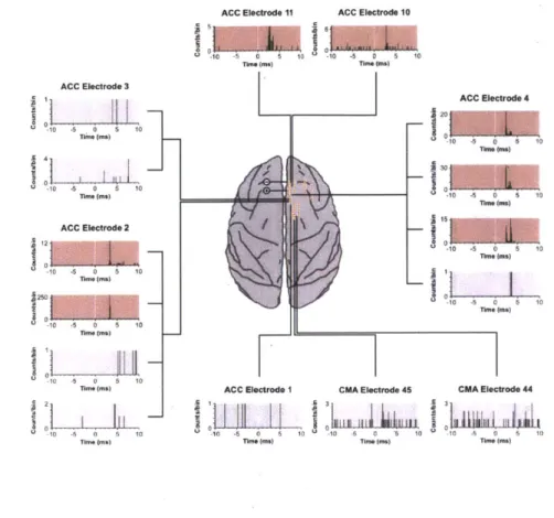 Figure 9  - Graybiel