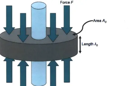 Figure  9: Tire Rubber  Donut Experiences  an External  Force.  This diagram  shows  a tire  rubber donut with  an uncompressed  cross-sectional  area Ao  and  an uncompressed length Lo  being subjected  to some  force F which  is  equally  distributed acr