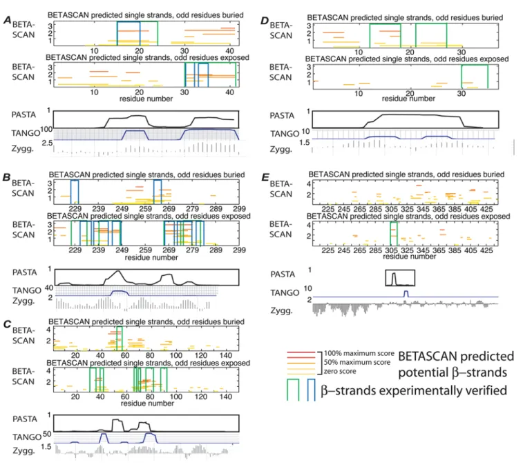 Figure 3. BETASCAN output for amyloid and prion proteins with experimentally determined b-structures