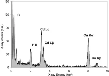 Figure 3 shows a typical energy-dispersive X-ray emission (EDX) spectrum for the exploration of the elemental  composi-tion of the single-sized Cd 3 P 2 nanoparticles